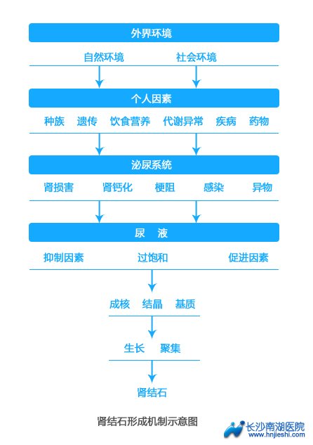 肾结石饮食